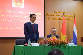 政府副总理武德儋会见旅居泰国越南人代表