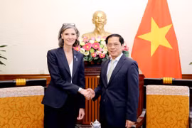 越南外交部长会见联合国开发计划署驻越南首席代表