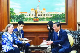 促进美国大型公司对胡志明市进行投资