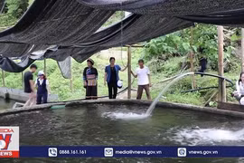 冷水性鱼类养殖与体验式旅游相结合的独特模式