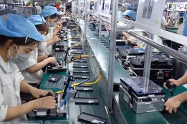 越南与新加坡出口增长前景广阔