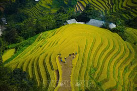 抓住机会重振旅游业
