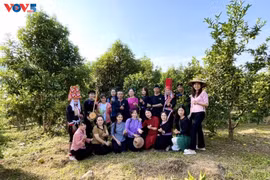 广宁省少数民族妇女积极从事生态旅游 