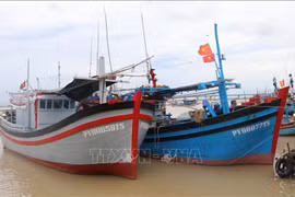 解除IUU“黄牌”：坚决不让未安装巡航监测设备的渔船出海