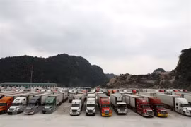 越中两国多措并举保障口岸通关平稳有序