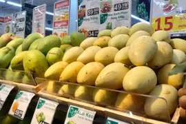 EVFTA为越南商品进入瑞典市场注入动力