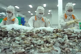 越南农林渔业产品出口保持增长势头