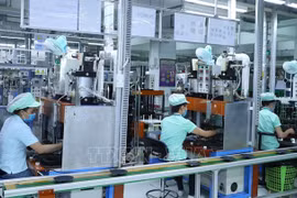 越南充分利用EVFTA 对欧盟贸易顺差创纪录