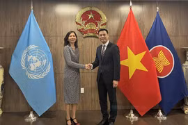 联合国驻越南协调员支持越南在联合国促进的优先事项