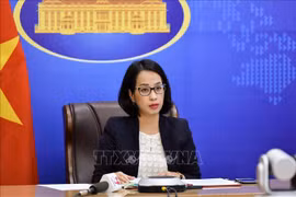 外交部例行记者会：越南一直以来大力实施预防和打击人口贩运的任务和措施