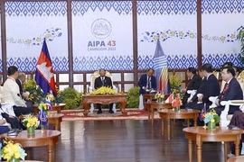 柬埔寨王国国会主席韩桑林会见AIPA议会代表团团长