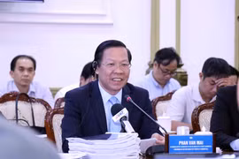 胡志明市与世行联合工作组是高效合作模式典范