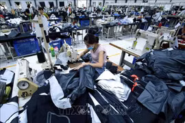 2022年前10月兴安省增资项目43个