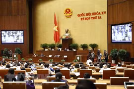 越南第十五届国会第三次会议: 不缩小知识产权领域行政处罚对象范围