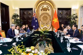 越南外长裴青山与澳大利亚外长黄英贤举行会谈
