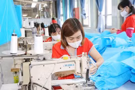 澳大利亚学者：越南为实现联合国可持续发展目标付出巨大努力