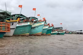 金瓯省实现渔船监测设备安装全覆盖