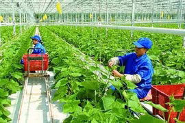 提高集体经济的能力和效率
