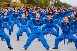 越武道真正成为越南和阿尔及利亚文化交流和沟通的桥梁