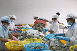 老挝媒体：2022年越南与老挝贸易总额预计增长率达10%以上