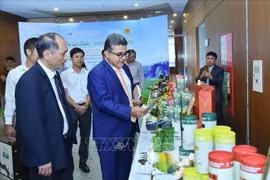 莱州省进一步加大对中东、北非和南亚市场的茶叶出口力度