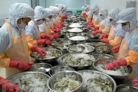 充分利用各机遇推动越南水产品对欧盟出口