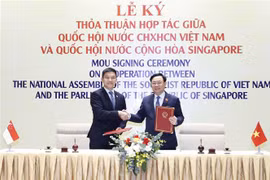 新加坡国会议长：提升越南国会和新加坡国会之间的合作层次与水平