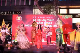 “2022年东盟友谊情深”美食节在胡志明市举办
