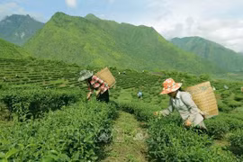 为贫困地区发展经济夯实基础