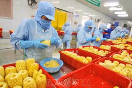 越南力争到2030年成为全球10大水产品加工中心