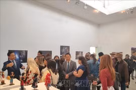 越南与委内瑞拉建交33周年庆祝活动在委内瑞拉举行