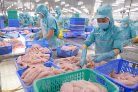 中国市场大幅增加越南水产品的进口