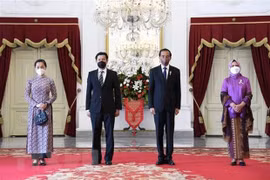 越南驻印度尼西亚新任大使向印尼总统佐科递交国书
