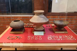  “宁平省—千年文献”文物展正式开幕