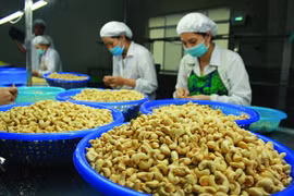 对老挝和泰国市场出口咨询会即将举行