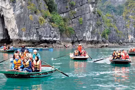 印度游客赴越南旅游人数激增