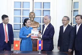 越南与老挝在人民外交工作中保持密切配合