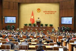 第十五届国会第四次会议：对2022年前九月GDP增长率作出更仔细的评估