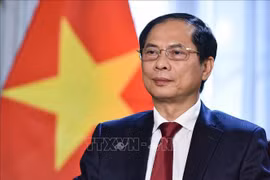 越南与新西兰继续进一步深化双边关系 