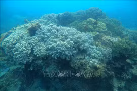 黎文成副总理：有力促进海洋经济的可持续发展
