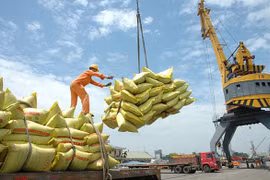 越南大米出口价格遇到瓶颈