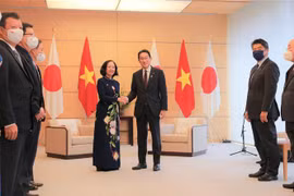日本首相岸田文雄：越南是日本在地区政策的重要伙伴