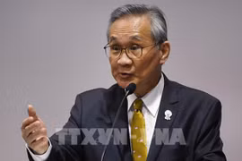 泰国将在东盟外长会上推广生物循环绿色经济模式