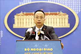 越南外交部例行新闻发布会：在柬埔寨设立越南学系 促进越柬合作关系发展