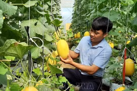 宁顺省出资近7300亿越南盾开展可持续减贫计划
