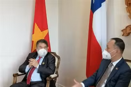 加强越智两国各地之间的合作关系