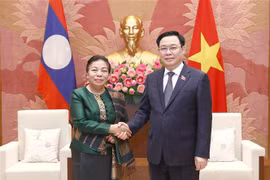 越南国会主席王廷惠会见老挝国会副主席顺通·赛雅佳