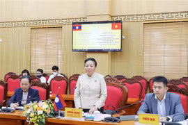 老挝国会代表团访问越南太原省
