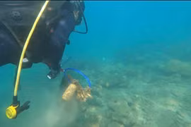 新监测方法使占婆岛海洋生态系统中塑料垃圾得到彻底清除