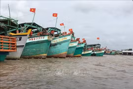 解除IUU“黄牌”警告：越南金瓯省完成渔船巡航监控设备安装工作
